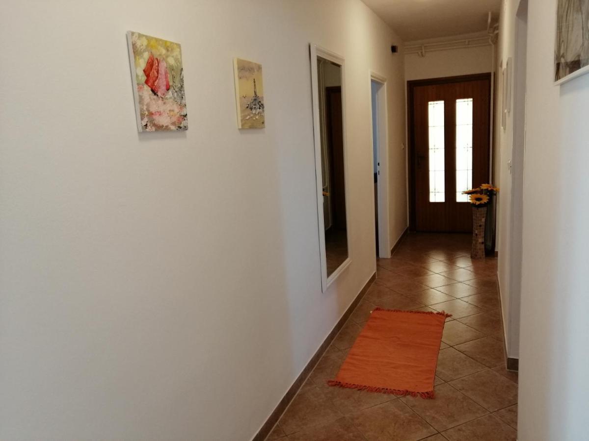 רוביני Apartmani Darko מראה חיצוני תמונה
