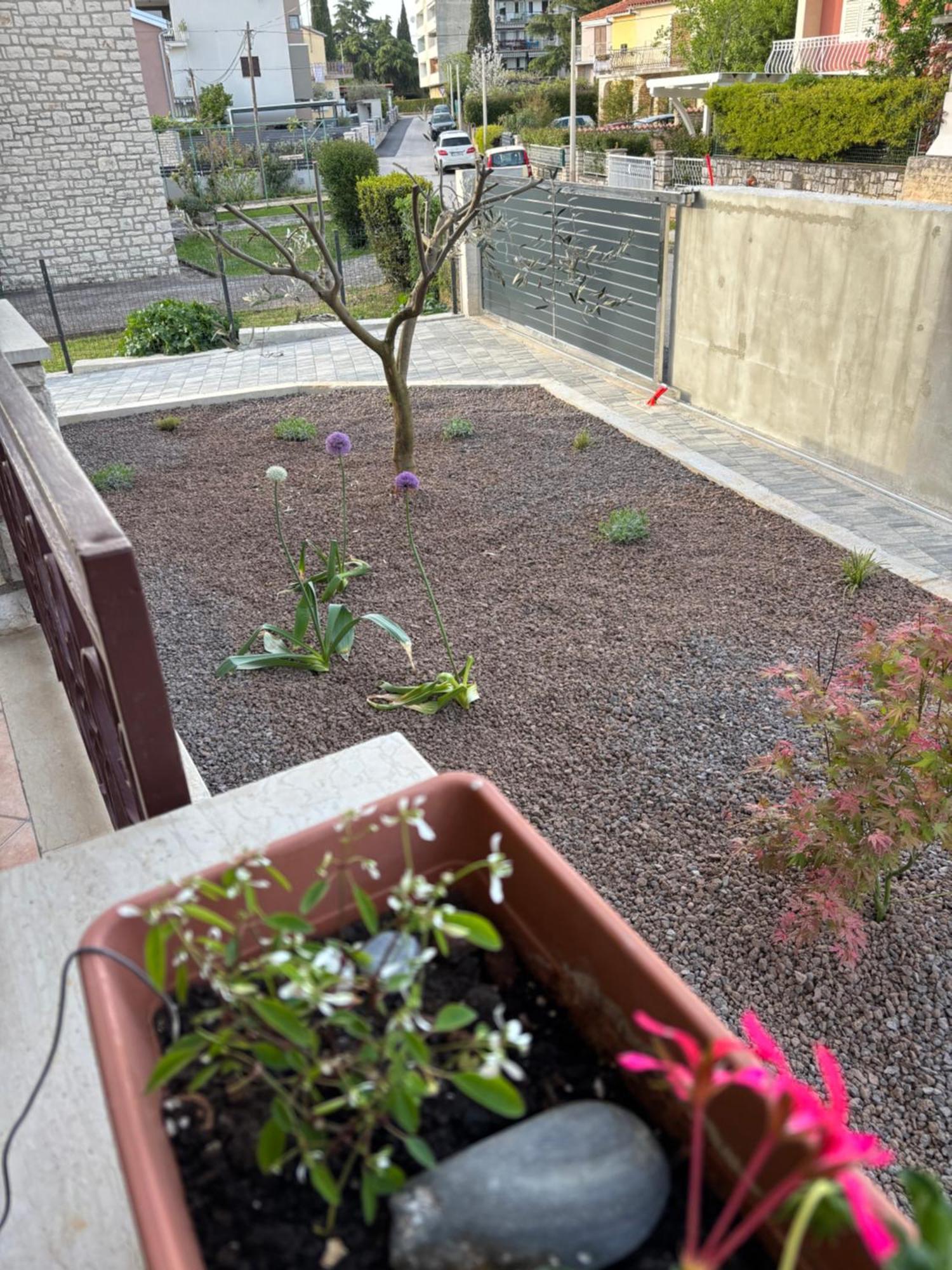 רוביני Apartmani Darko מראה חיצוני תמונה